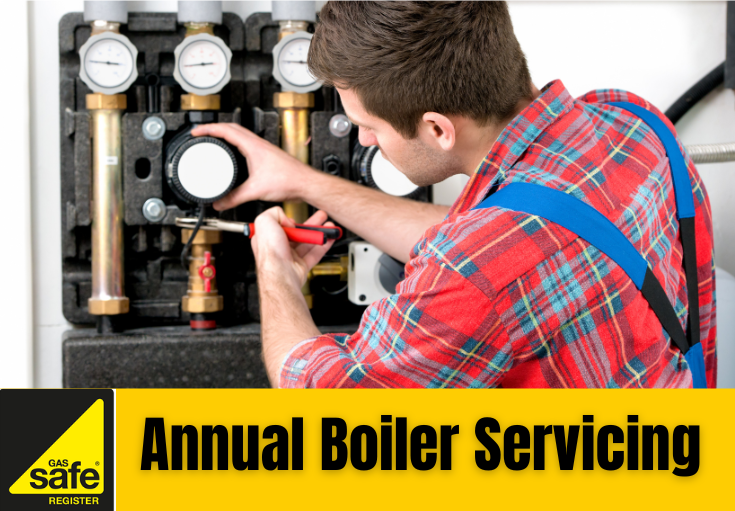 annual boiler servicing Cobham
