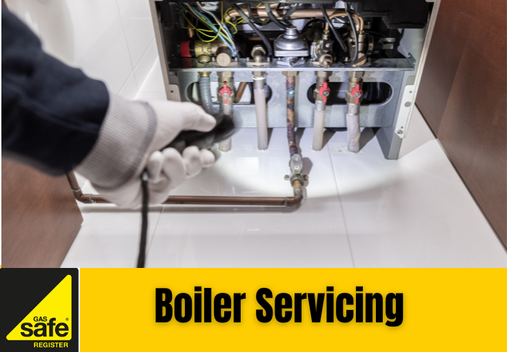 boiler service Cobham